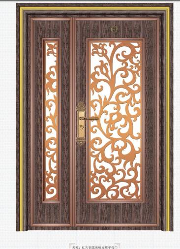 Stainless steel color steel door